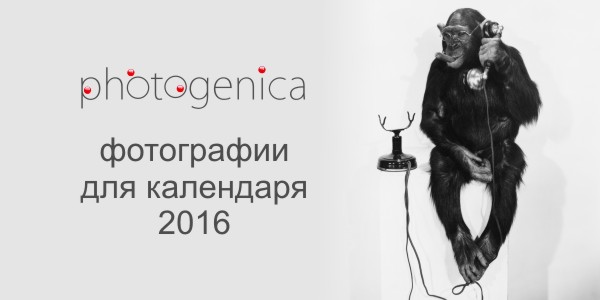 Фотографии для календарей - Обезьяна - символ 2016 года