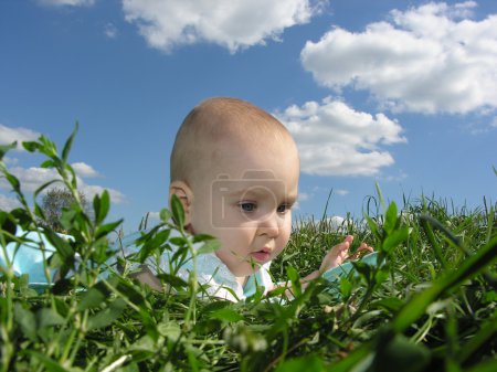 Baby in herb and sky