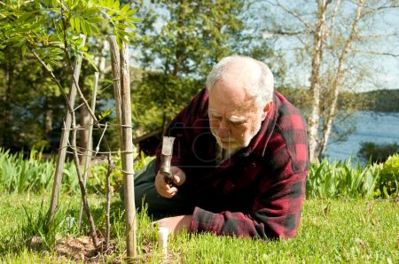 Senior taking care of trees