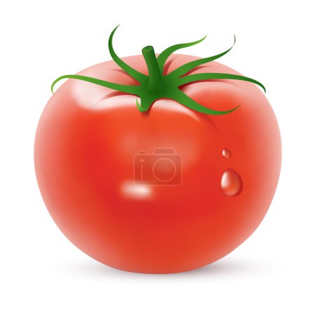 Bright tomato