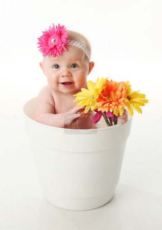 Baby girl in a flower pot
