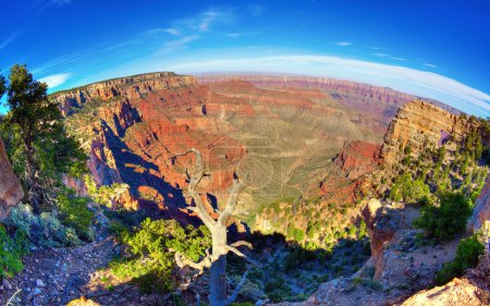 Fisheye view of the north rim of the Grand Canyon