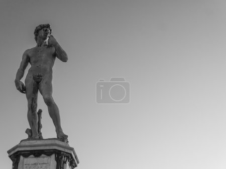 Statue of Michelangelo's David, Florence, Italy