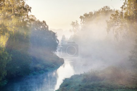 Morning summer river