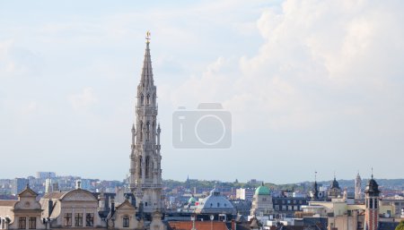Brussels roofs 