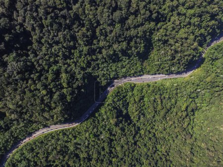 Highway in a Forest, Brazil