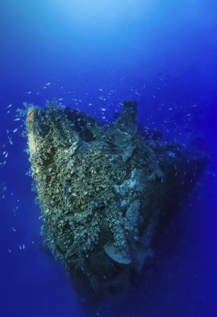 Italy, Calabria, Tyrrhenian sea, U.W. photo, wreck diving, sunken ship - FILM SCAN