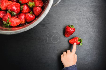 black desk background with copyspace, the child picks strawberries