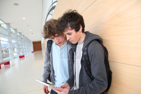 Teenage boys using electronic tablet