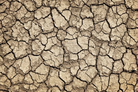 Dry cracked ground during drought