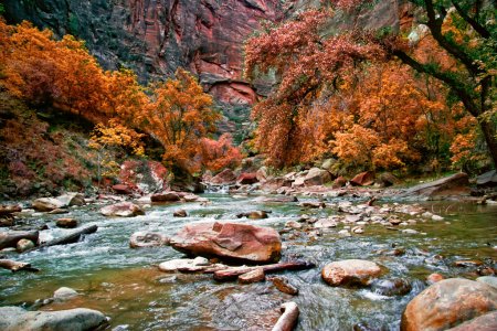 River in Zion Canyon