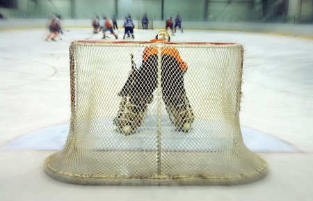 View on the back of the ice-hockey goalkeeper