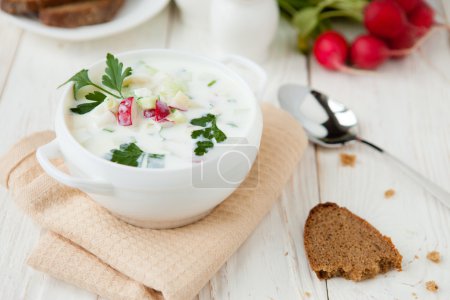 cold summer soup with yogurt, Russian Okroshka