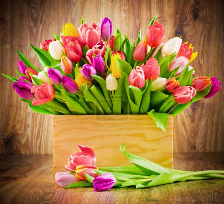 Tulips in the box on wooden background