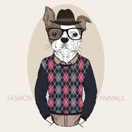 French Bulldog Hipster in colors