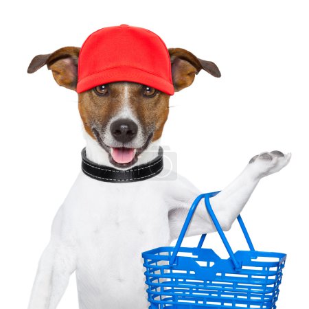 shopping dog