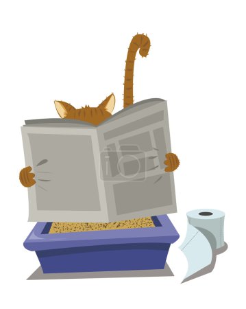 Cat and Litterbox