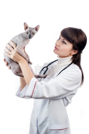 Beautiful veterinarian with cat