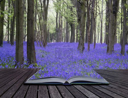 Creative concept pages of book Vibrant bluebell carpet Spring fo