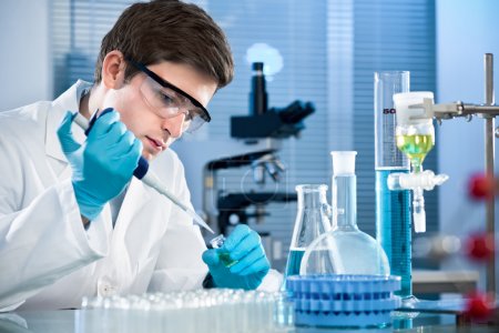 Scientist working at the laboratory