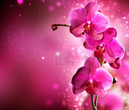 Orchid Flower border design