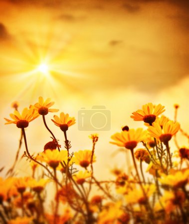 Flowers over warm sunset
