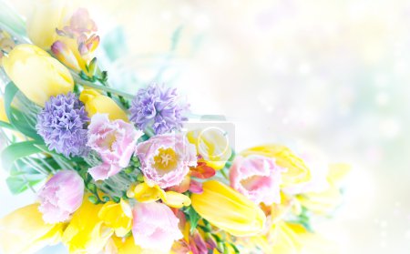 Beautiful spring flowers nature frame