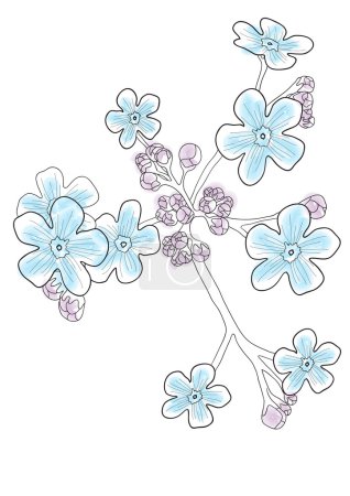 Beautiful blue forget-me-nots