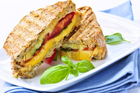 Grilled cheese and tomato sandwich on a plate