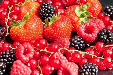 Berrys - strawberry, currant, blackberry, raspberry...