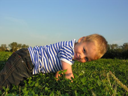 Child on meadow