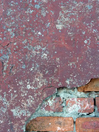 Old brick wall 5