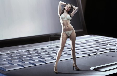 Sexy woman wearing lingerie standing n laptop