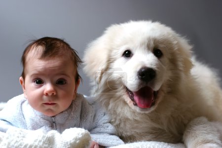 Baby and puppy