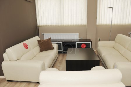 Modern livingroom indoor with new furniture and home decorations