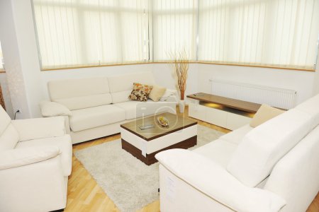 Modern livingroom indoor with new furniture and home decorations
