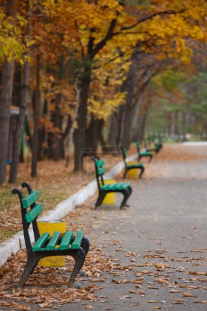 Wonderful green bench in the park