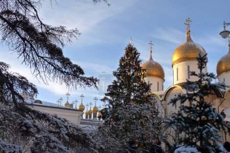 Golden domes of Orthodox churches, Russian Federation, Moscow Kremlin