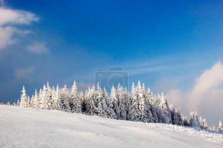 Winter landscape in mountains