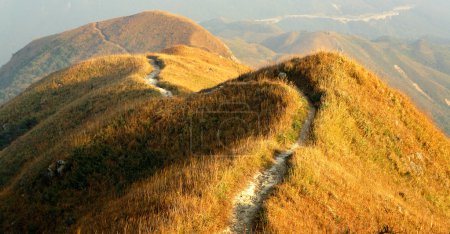 Twisting mountain path
