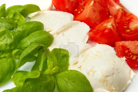 Mozzarella with tomtoes and basil