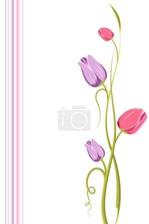 Tulip Floral Background