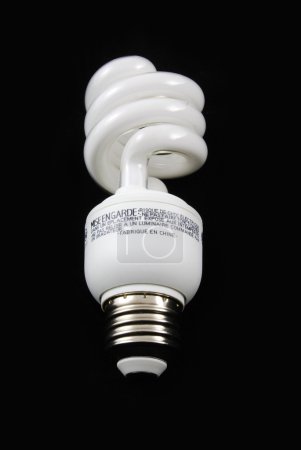 Fluorescent bulb vertical