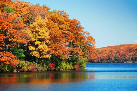 Autumn foliage over lake