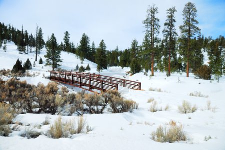 Snow field with bridge and trees