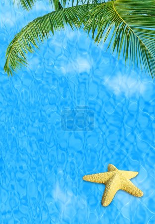 Water background with starfish