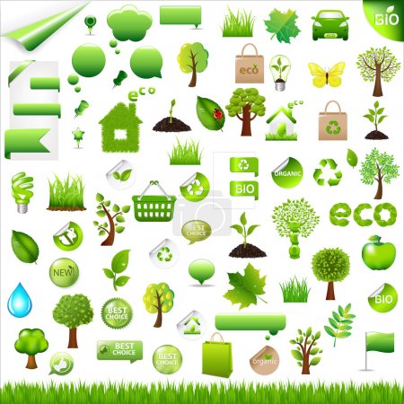 Collection Eco Design Elements, Isolated On White Background, Vector Illustration