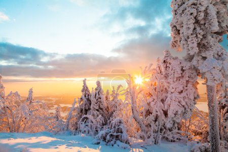 Snowy winter landscape in sunset