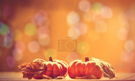 Two pumpkins and leaves