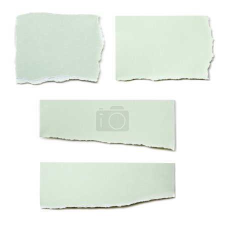 Paper Tears Collection Isolated